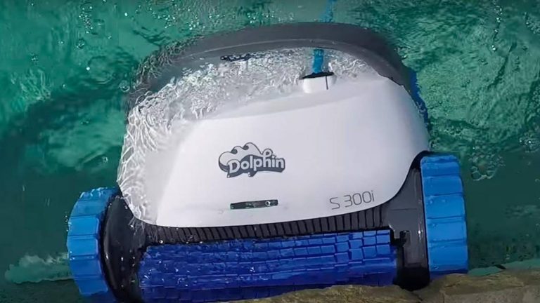 Reinigt der Dolphin S300i Poolroboter den kompletten Pool?