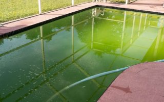 Wie kann man einen grünen Pool schnell säubern?