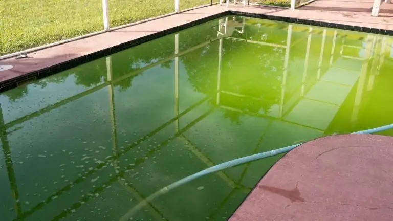Wie kann man einen grünen Pool schnell säubern?