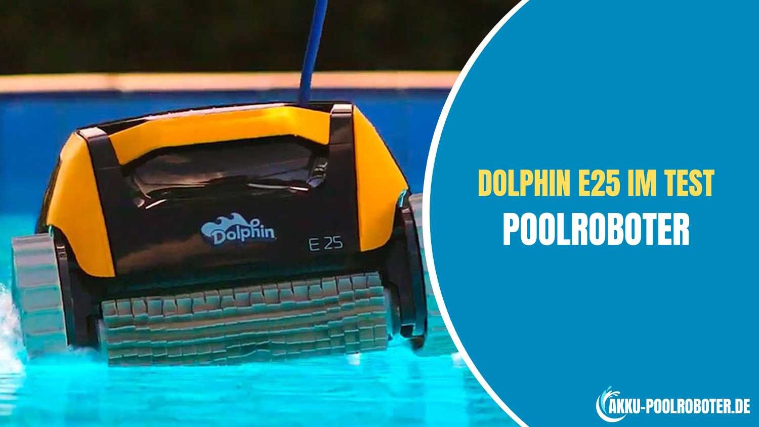 Dolphin E25 Poolroboter Test